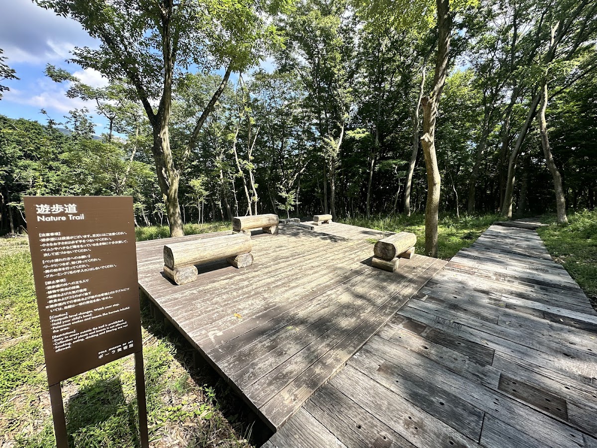 ポーラ美術館 森の遊歩道 の写真 2