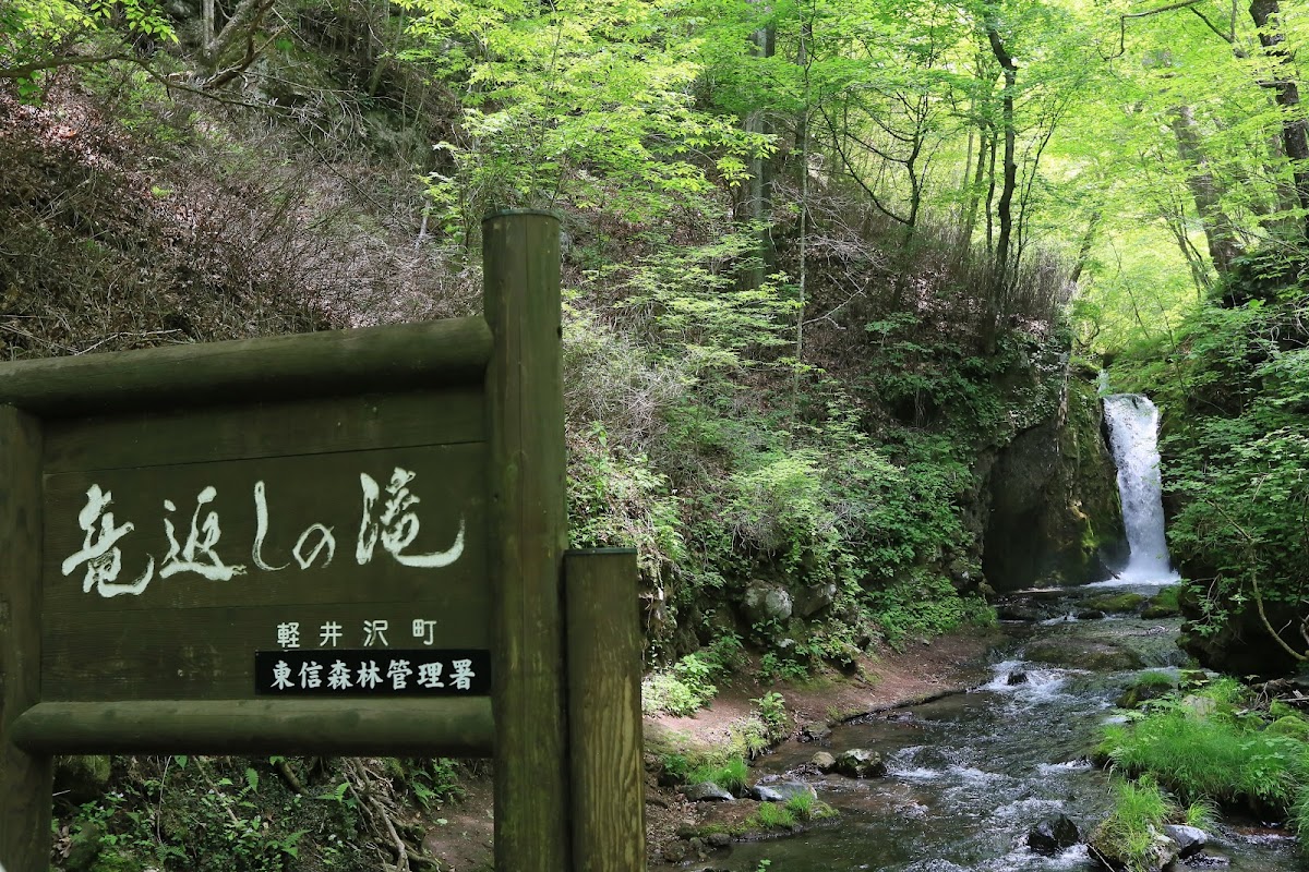 軽井沢 千ヶ滝せせらぎの道 森と滝の散歩