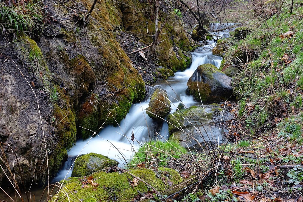 軽井沢 千ヶ滝せせらぎの道 森と滝の散歩 の写真 4