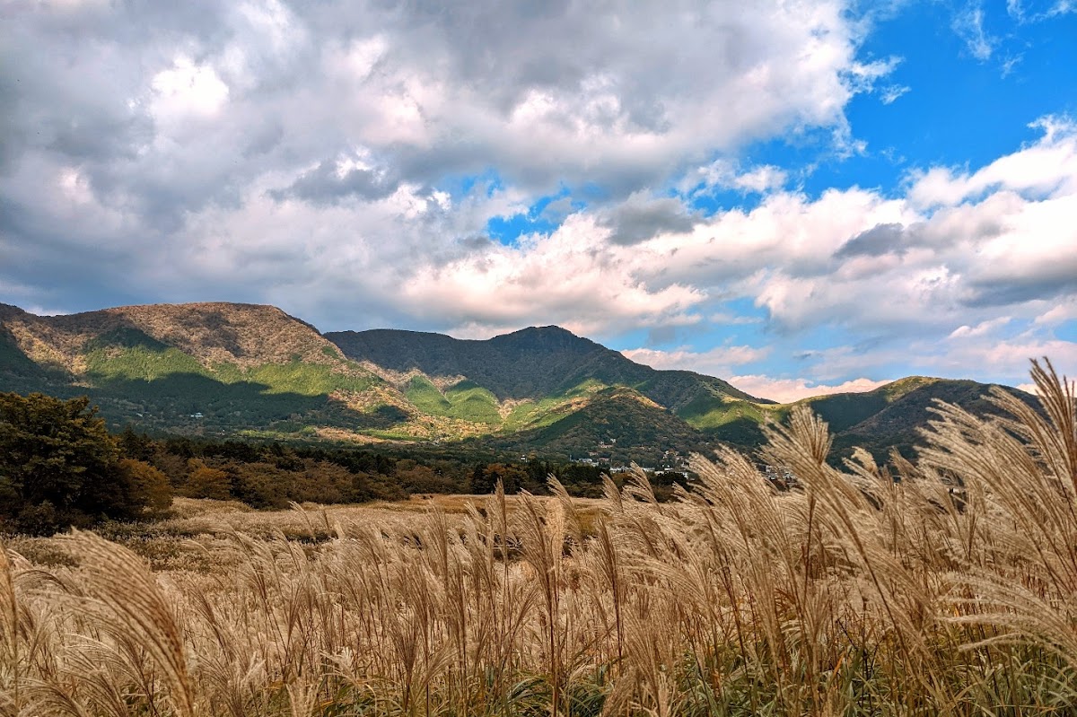 仙石原すすき草原と箱根の山々