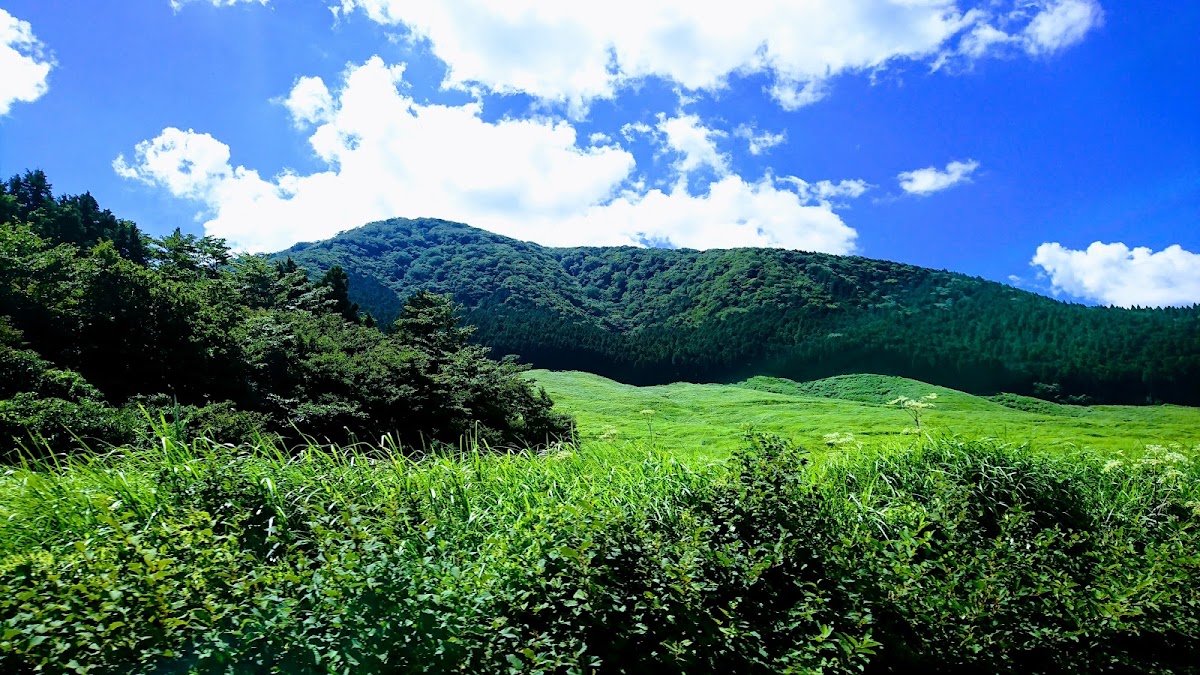 仙石原すすき草原 開放感あふれる高原散歩コース の写真 2