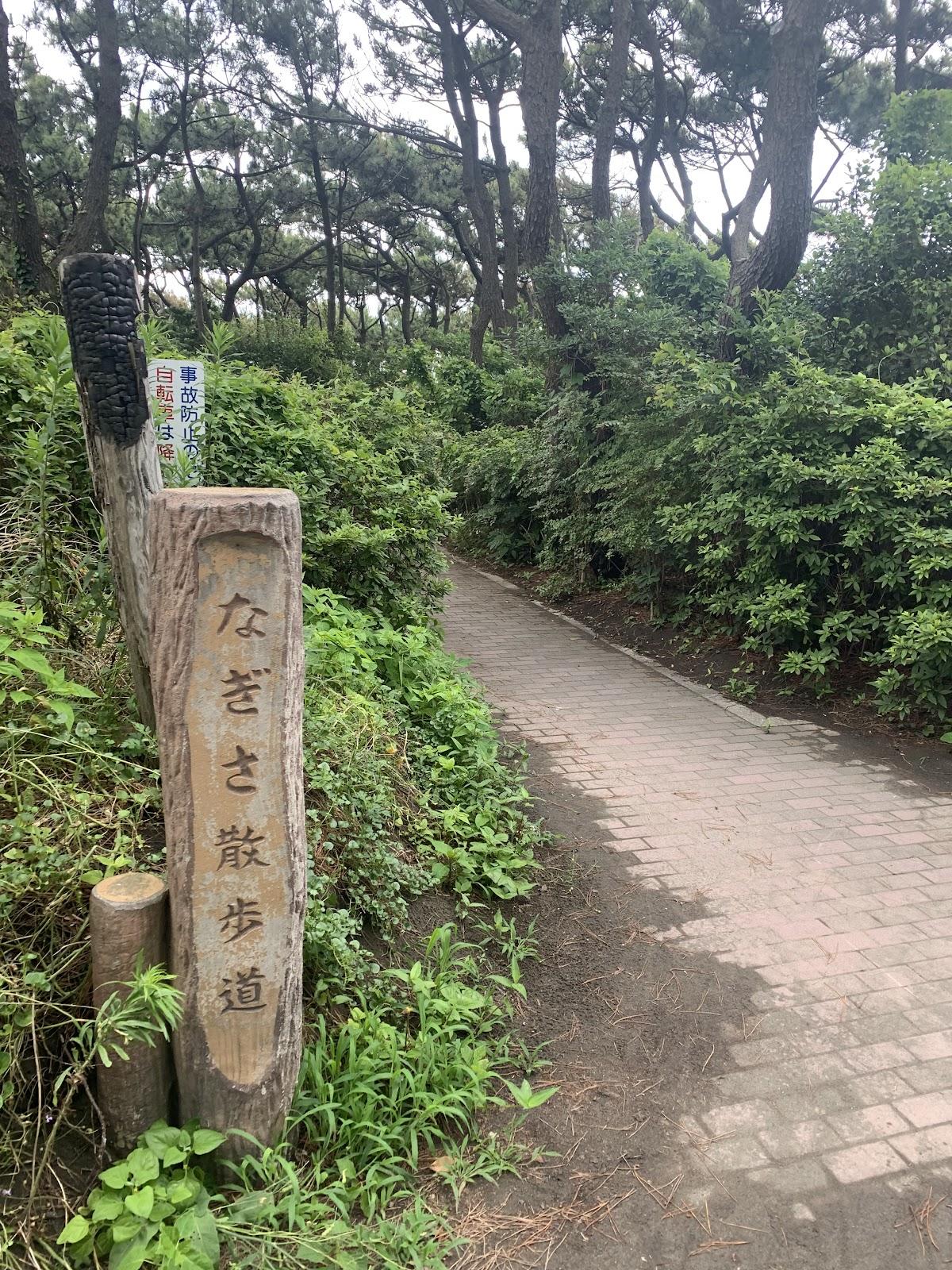 鵠沼海岸〜引地川 富士見の海岸散歩 の写真 4