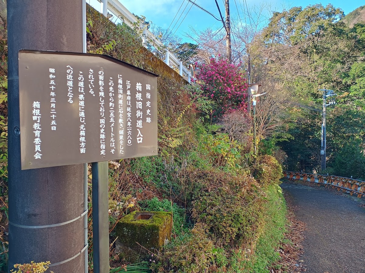 須雲川 石畳の自然探勝歩道 の写真 2