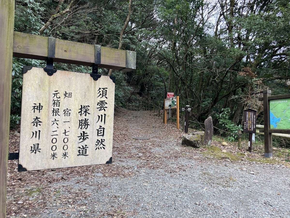 須雲川 石畳の自然探勝歩道 の写真 4