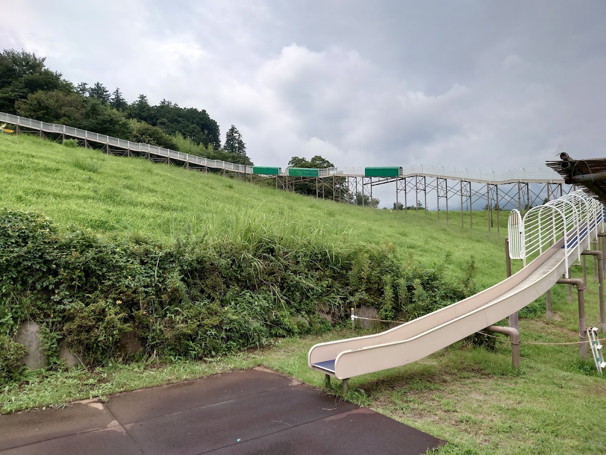 おだわら諏訪の原公園 展望散策コース の写真 3