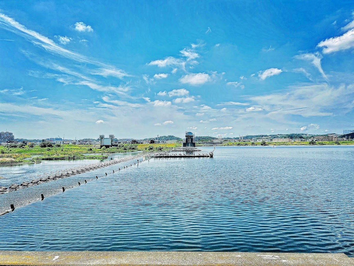 多摩川河川敷サイクリングロード散歩 の写真 2