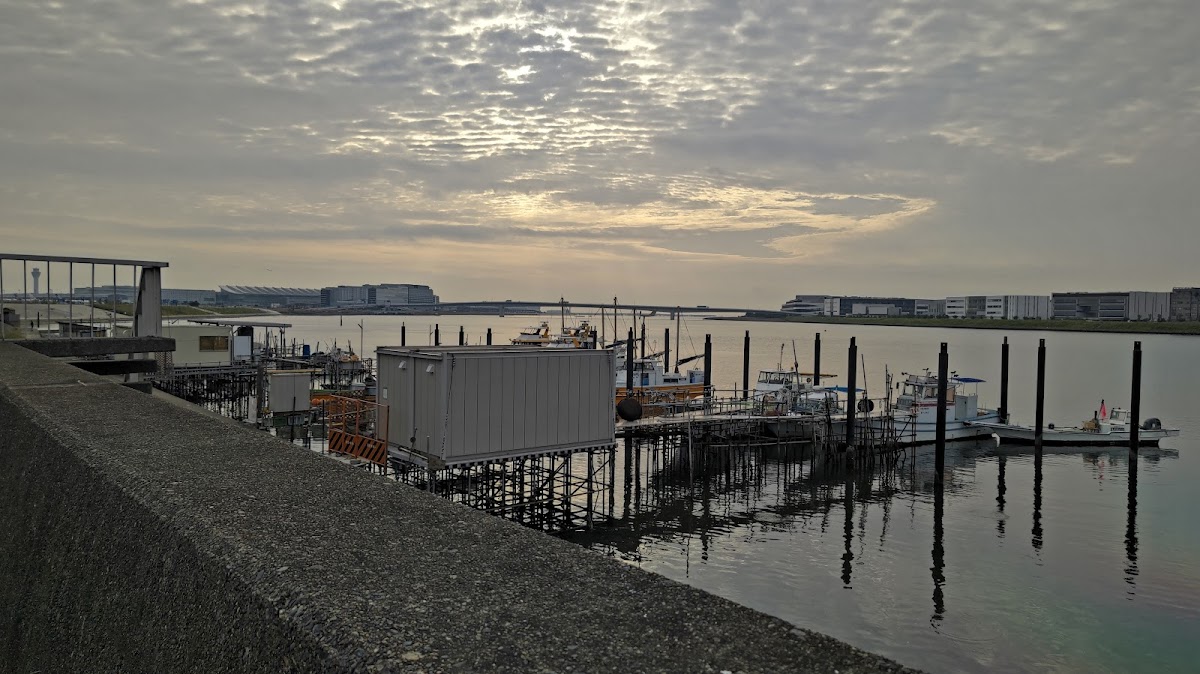 多摩川河川敷サイクリングロード散歩 の写真 4