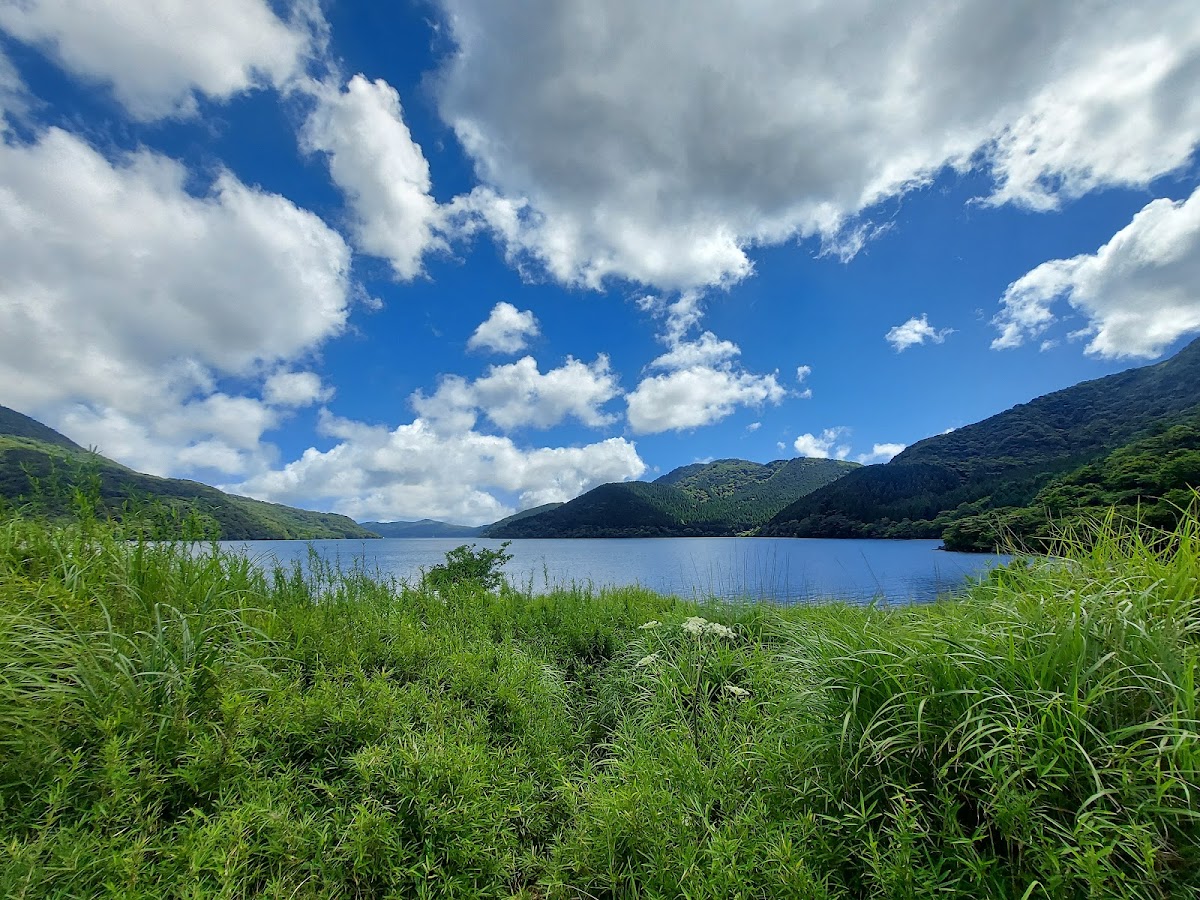 桃源台駅〜湖尻水門コース の写真 3