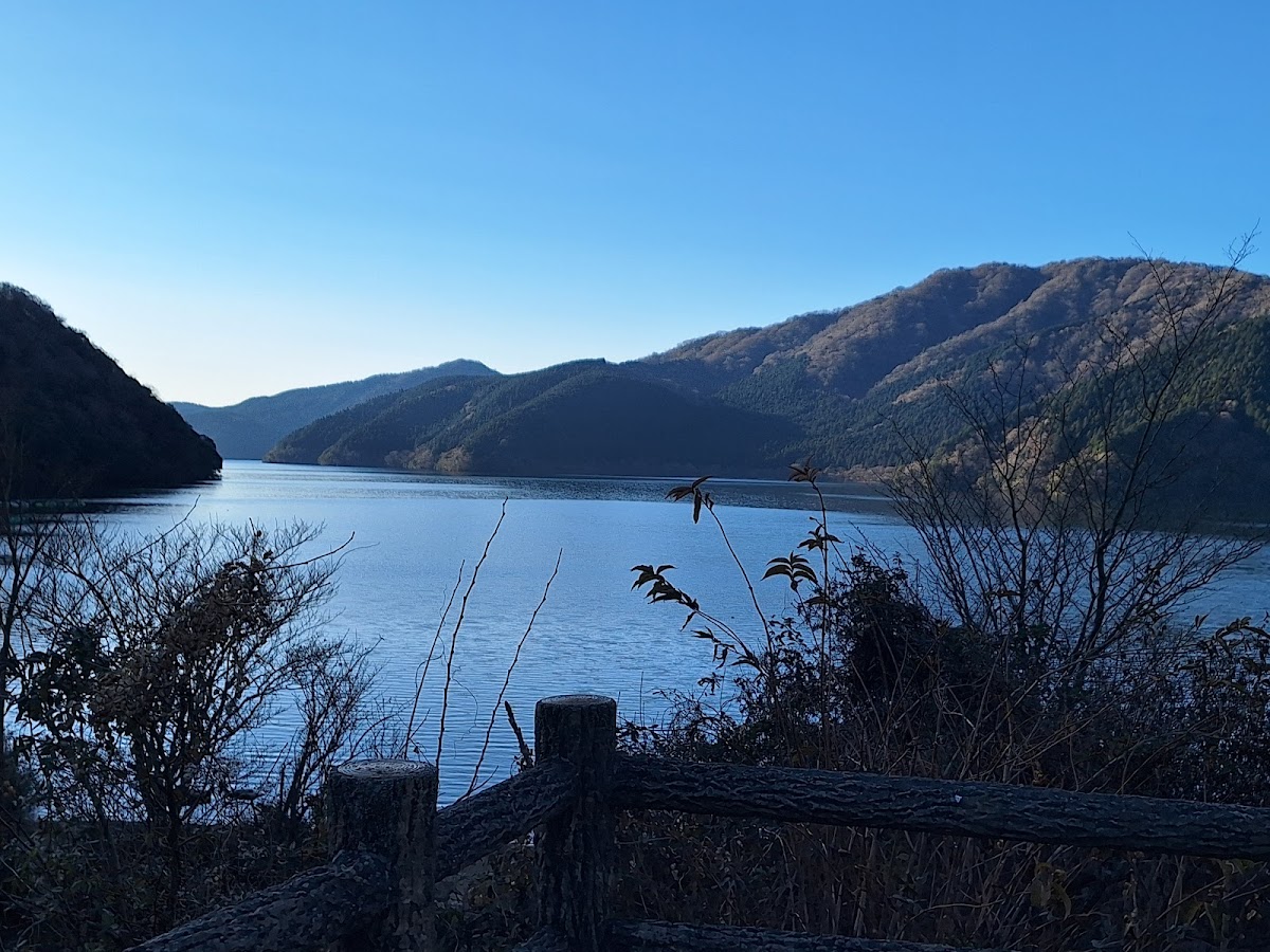 桃源台・大涌谷 ロープウェイ観光&湖畔散歩コース の写真 5