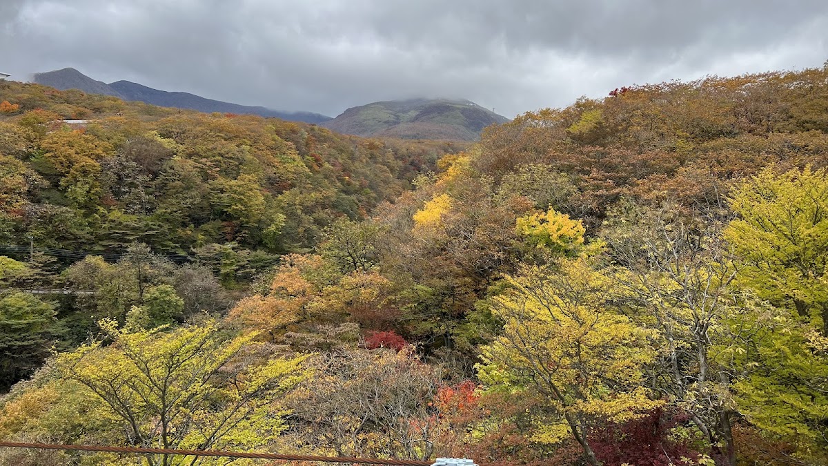 那須高原 つつじ吊橋と八幡の自然研究路 の写真 2