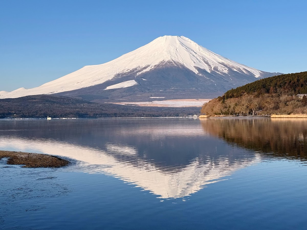 山中湖 富士山を望む湖畔散歩