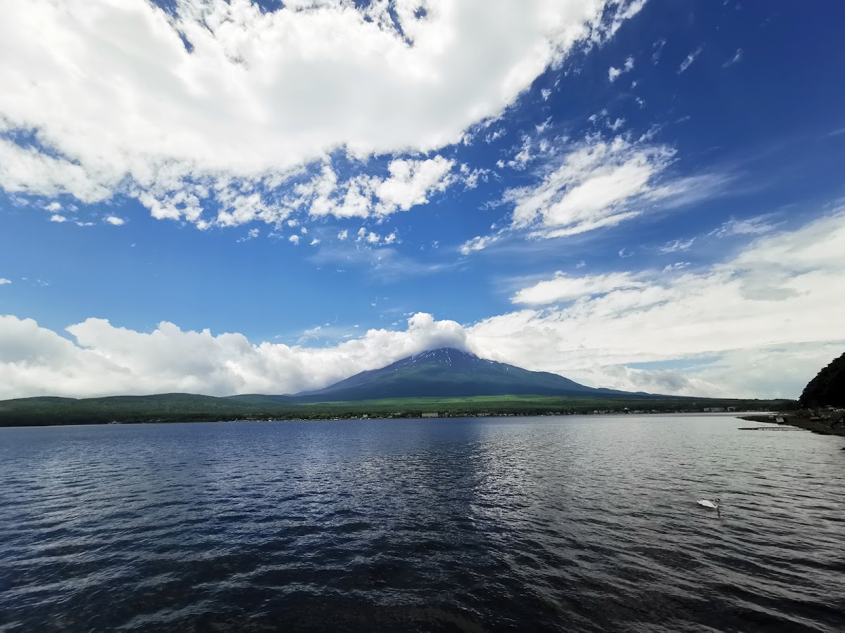 山中湖 富士山を望む湖畔散歩 の写真 3