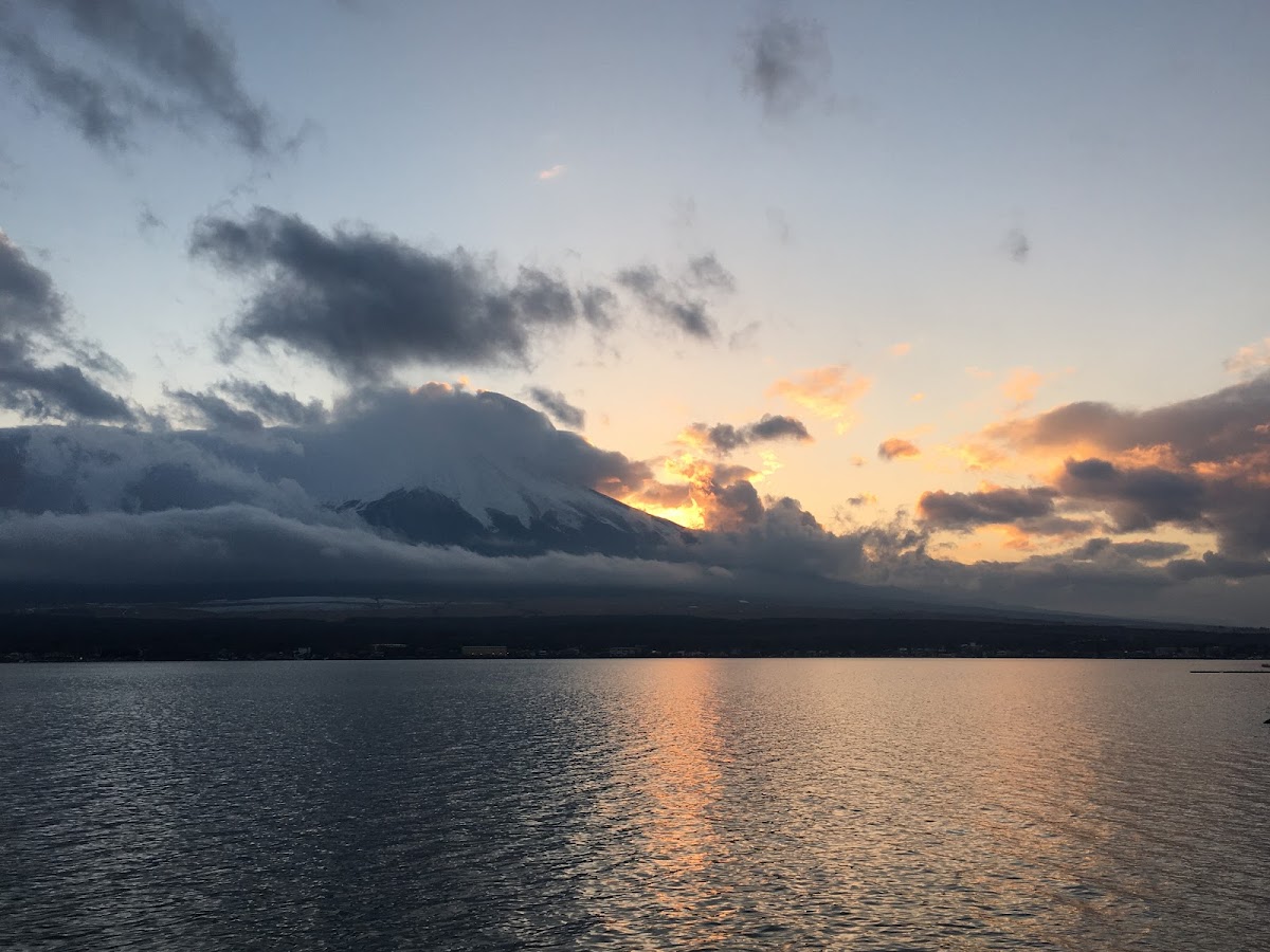 山中湖 富士山を望む湖畔散歩 の写真 4