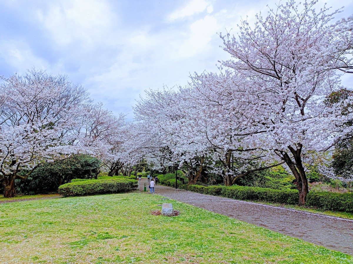 三溪園外周 本牧の緑道さんぽ の写真 2