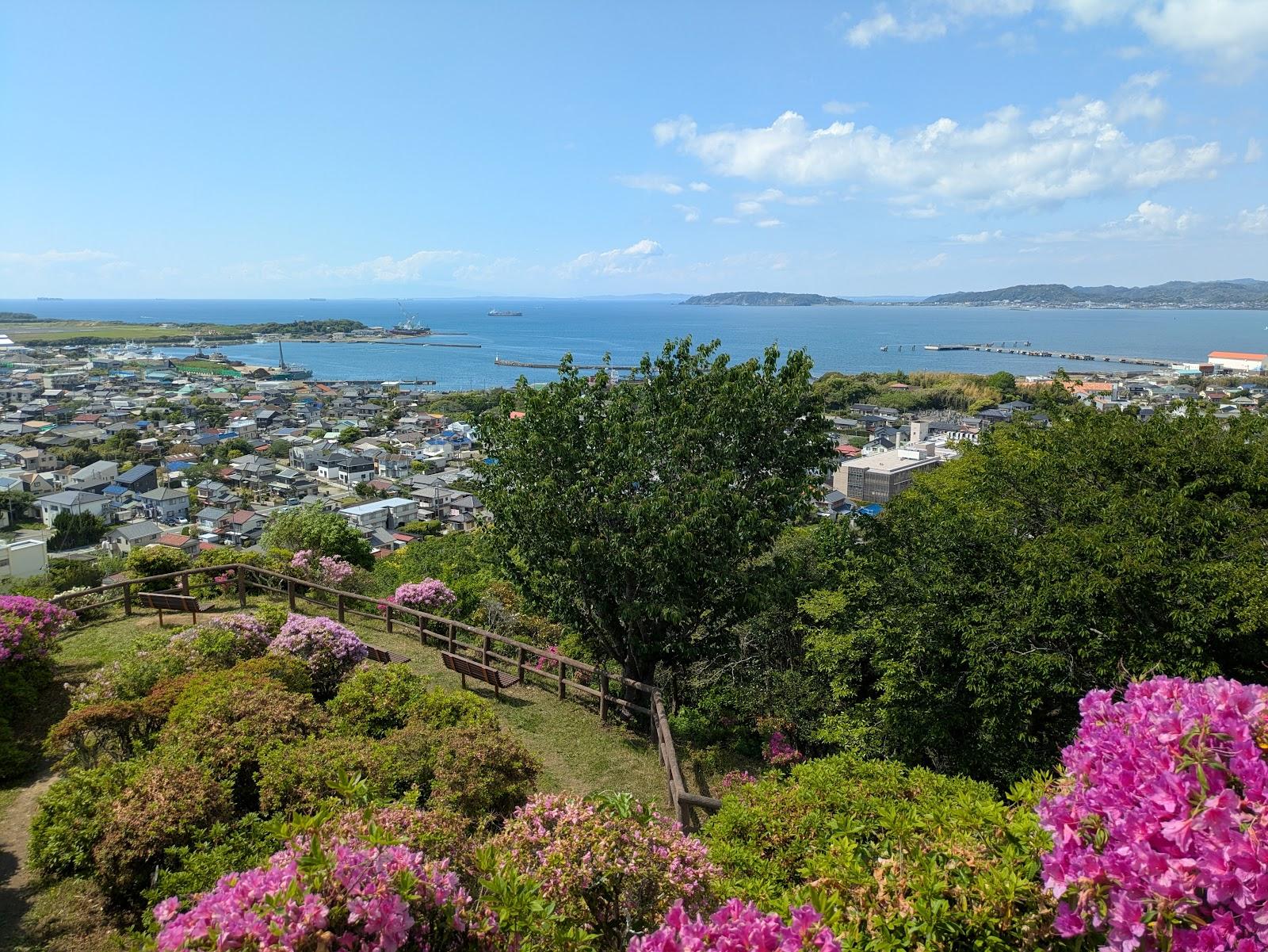城山公園 芝生広場