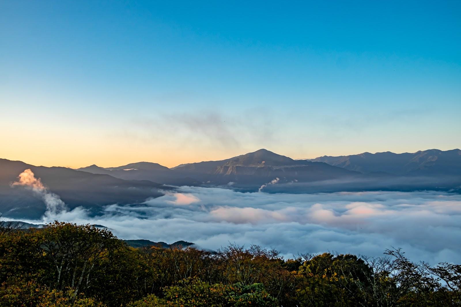 美の山公園 ツツジ・アジサイ周回散歩(皆野町・蓑山) の写真 2