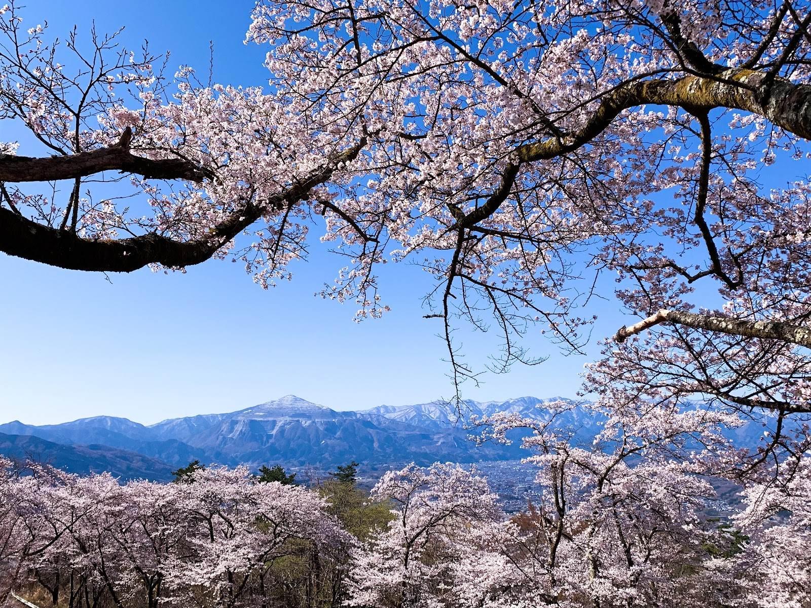 みはらし広場