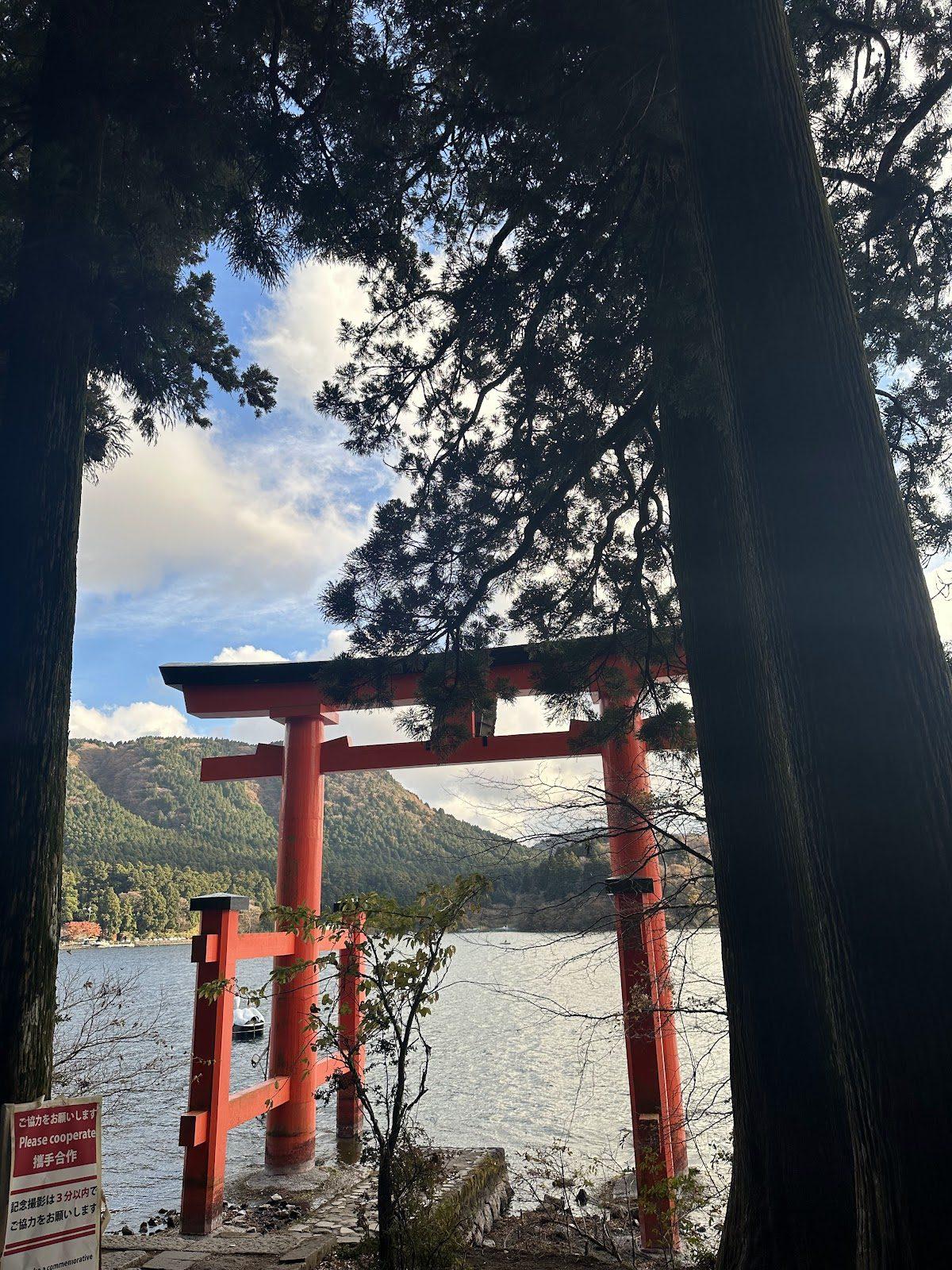 元箱根・箱根神社ロングウォーク の写真 3