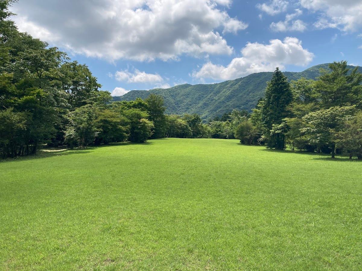 箱根ビジターセンター〜白浜 自然観察コース の写真 2