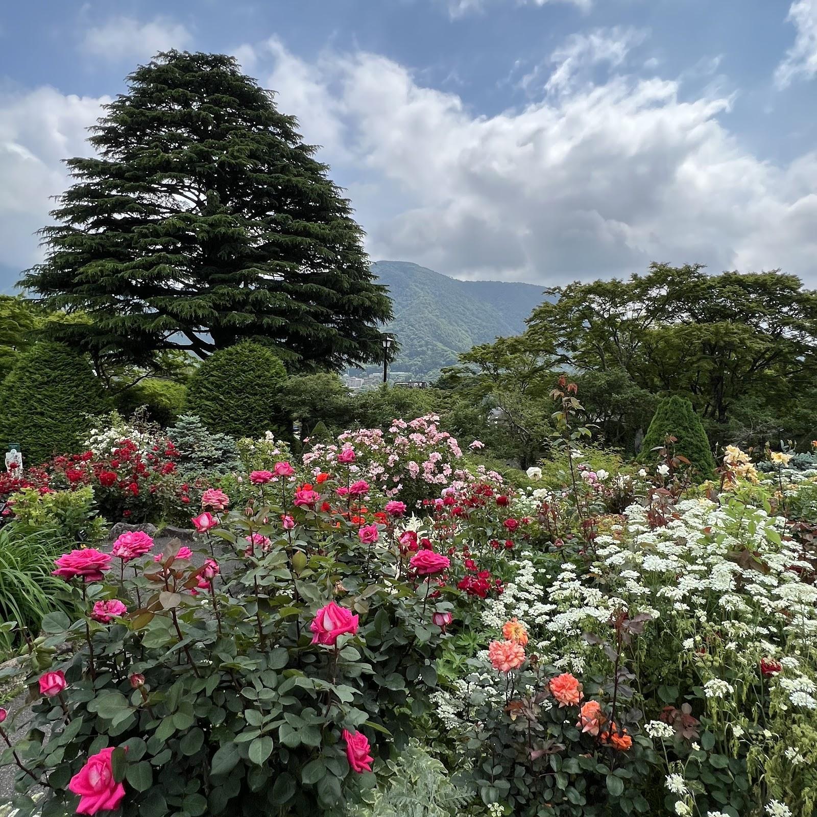 強羅公園 噴水とローズガーデン