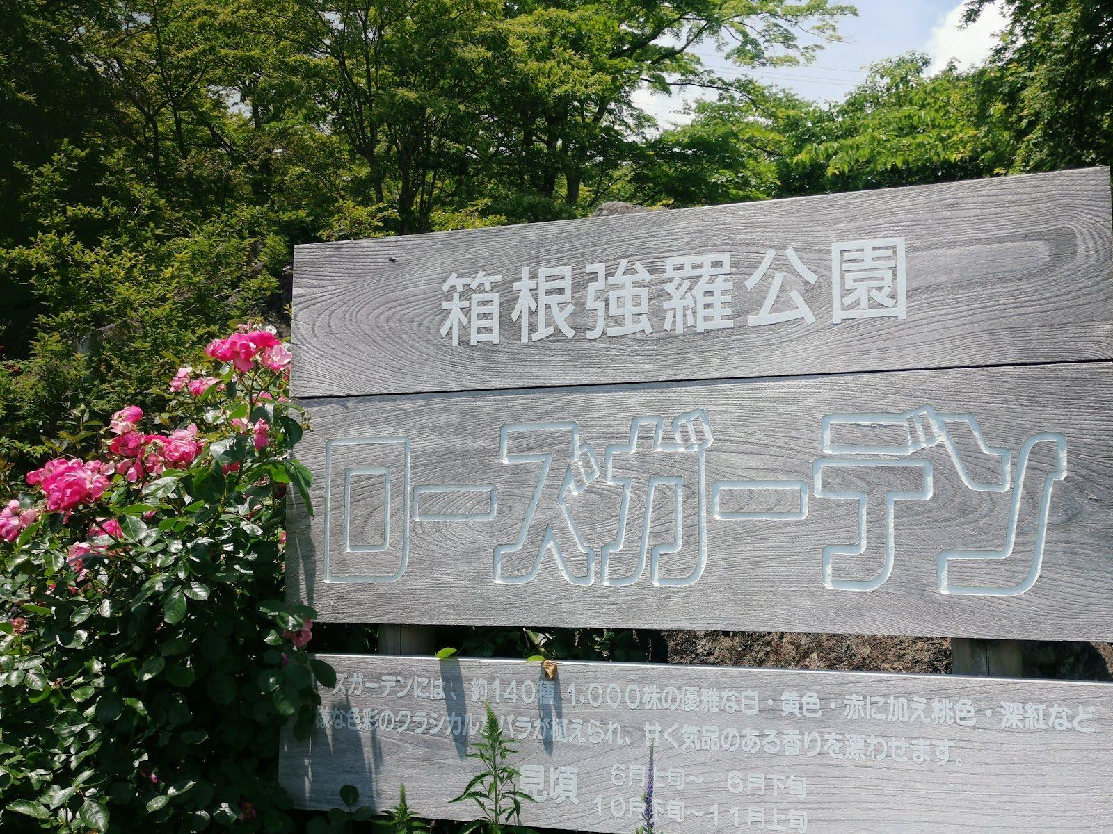 箱根強羅公園 四季の花々散歩コース の写真 3