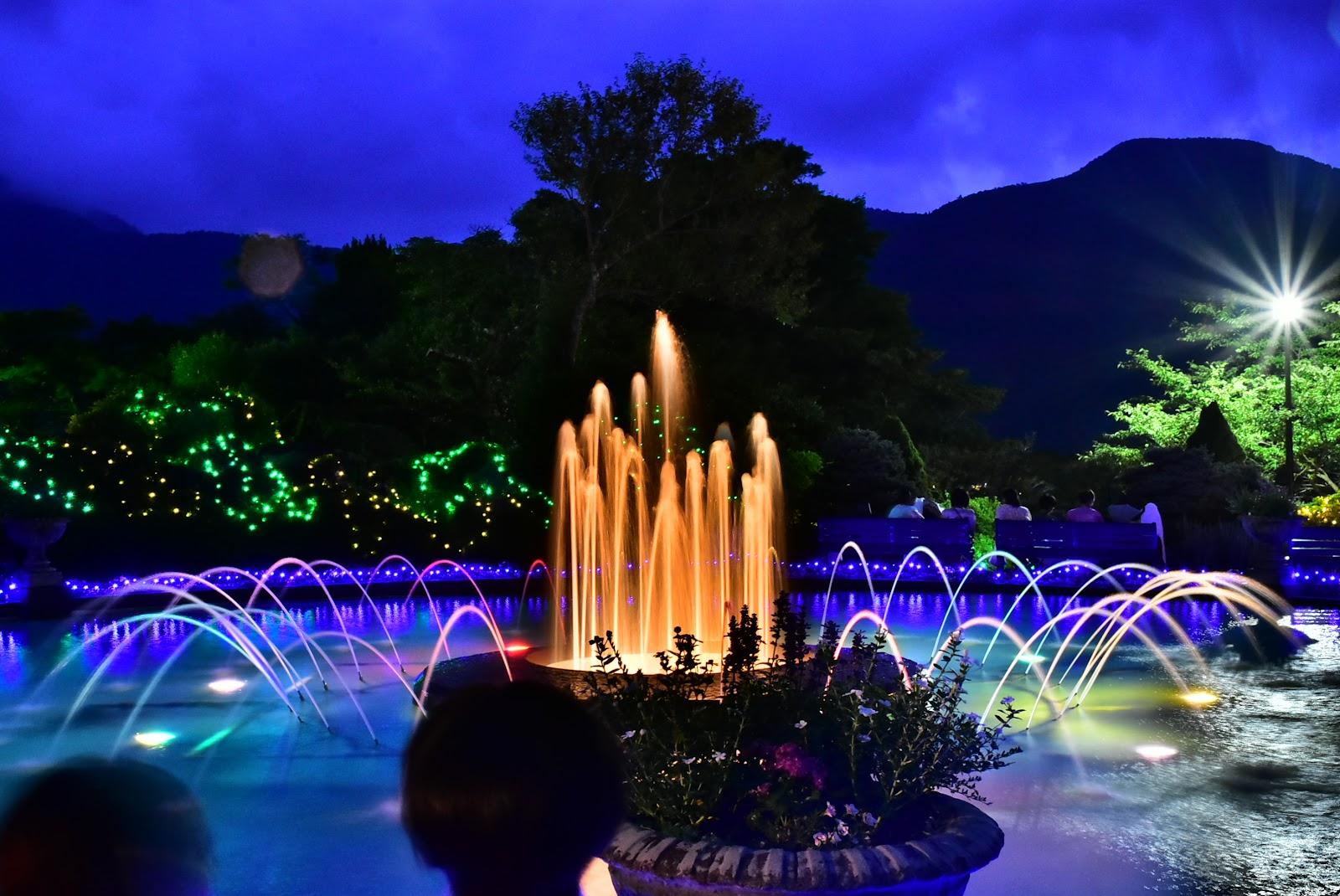 箱根強羅公園 四季の花々散歩コース の写真 4