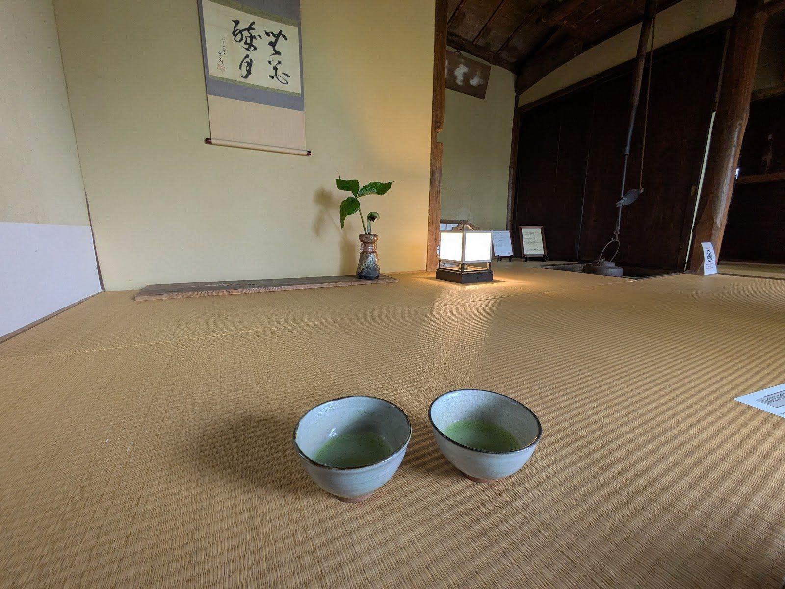 箱根強羅公園 四季の花々散歩コース の写真 6