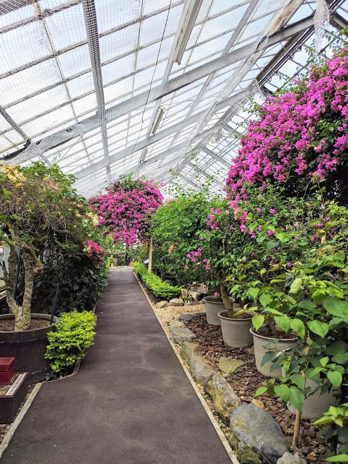 強羅公園 熱帯植物館