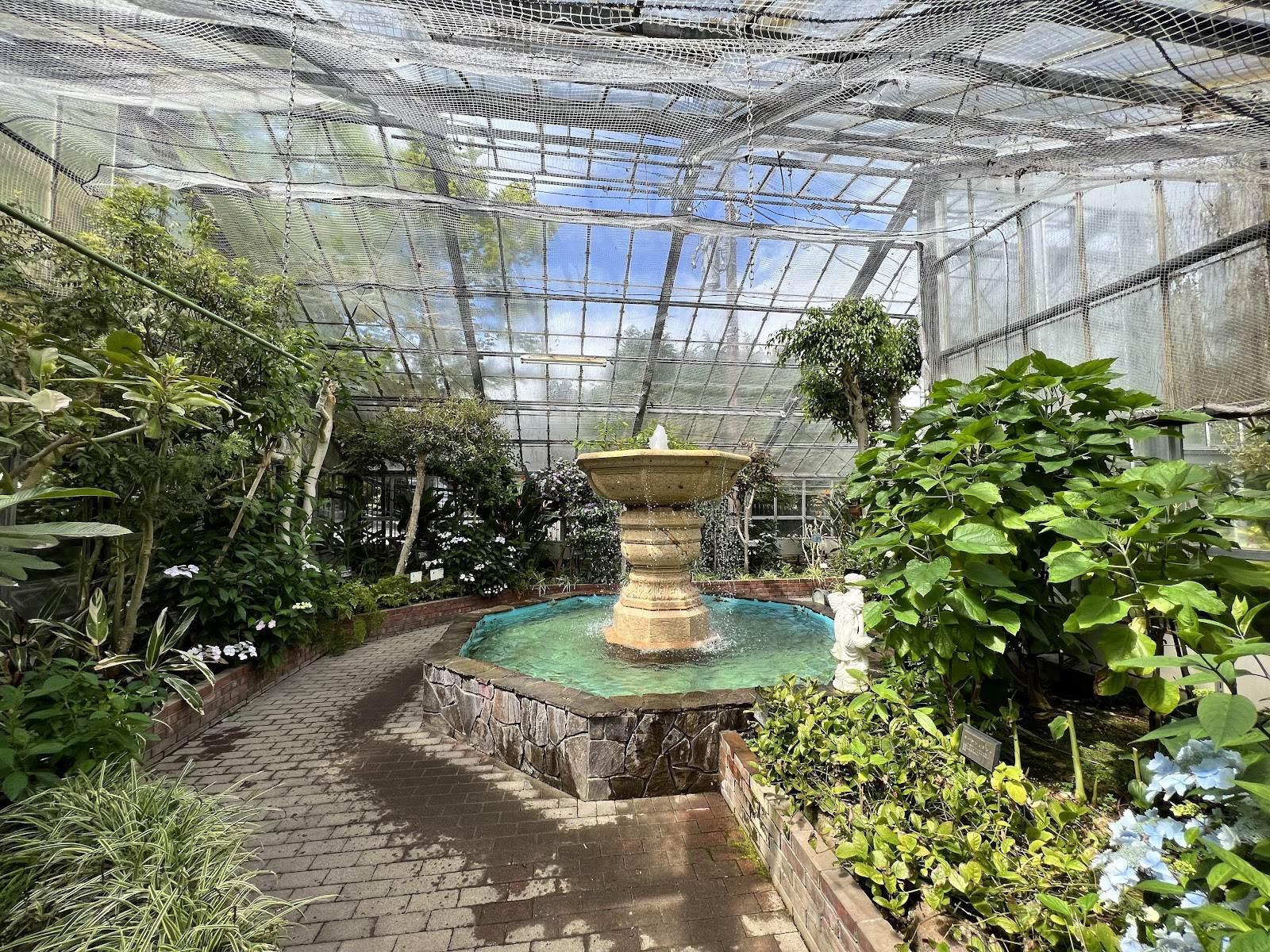 箱根強羅公園 四季の花々散歩コース の写真 8