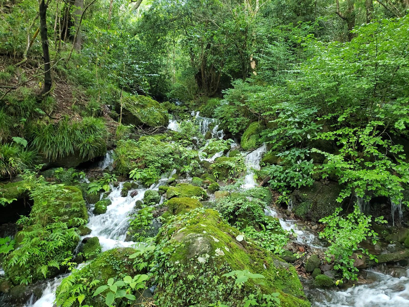 蛇骨川 渓流ベンチ