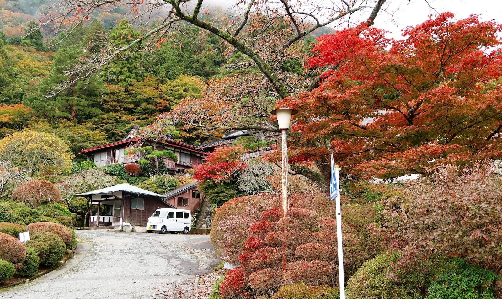千条の滝 森の散策コース の写真 3
