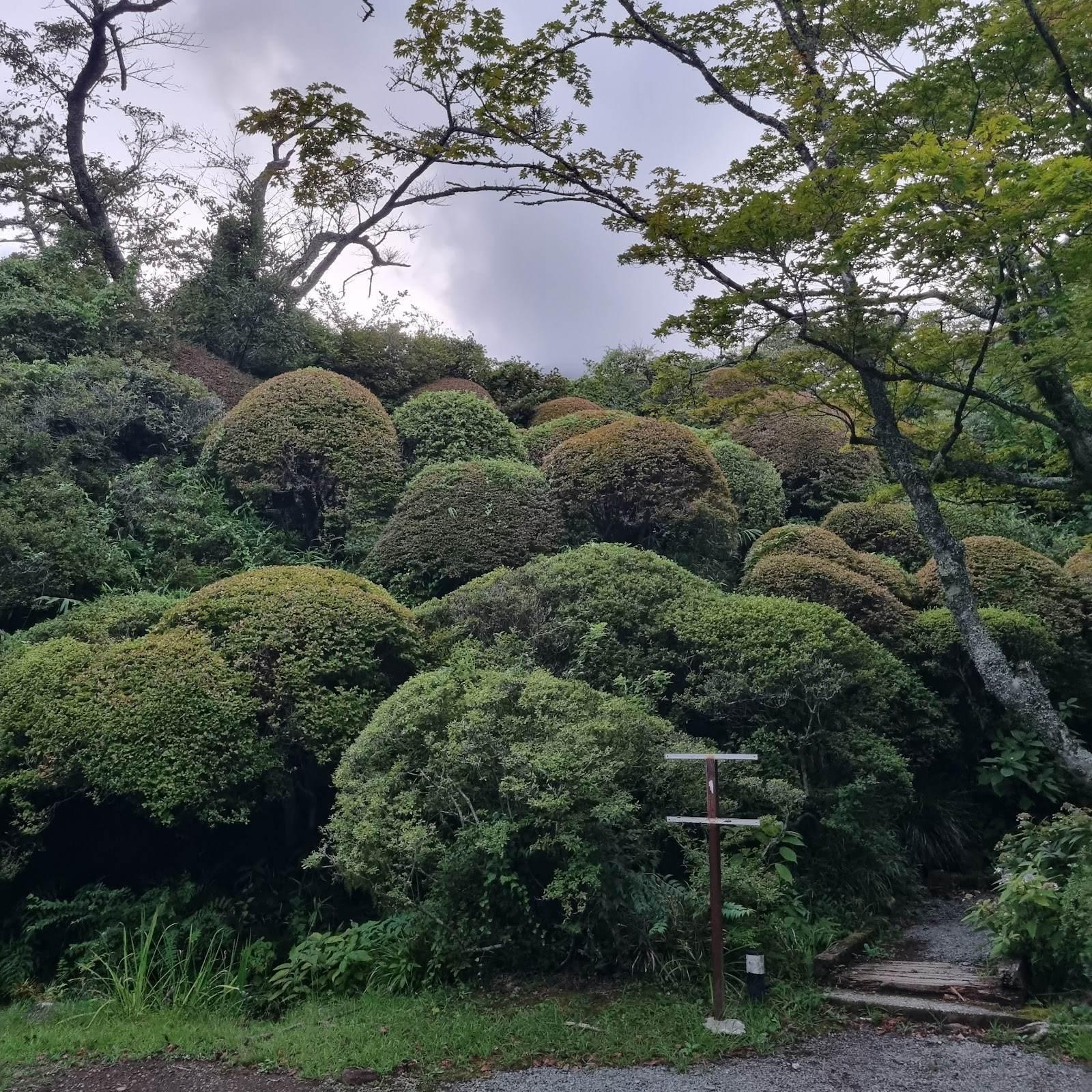 小涌谷蓬莱園