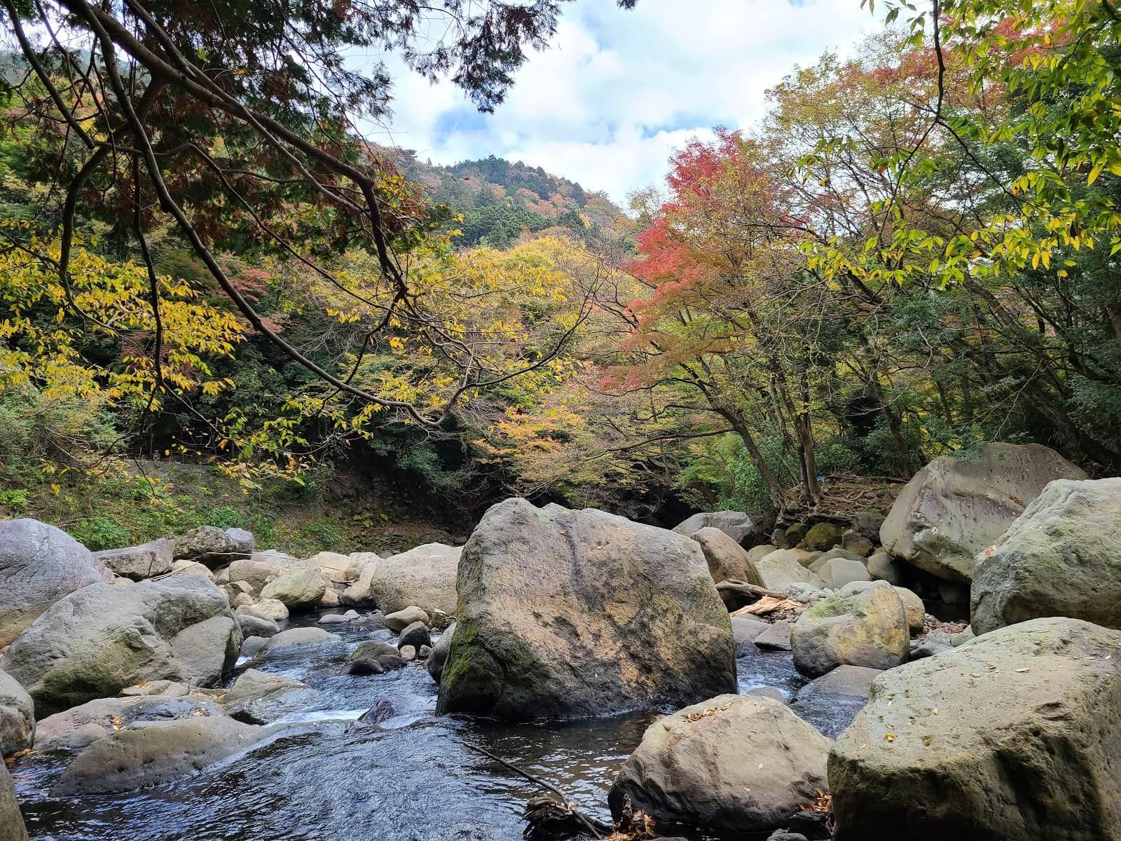堂ヶ島渓谷 紅葉ビュー