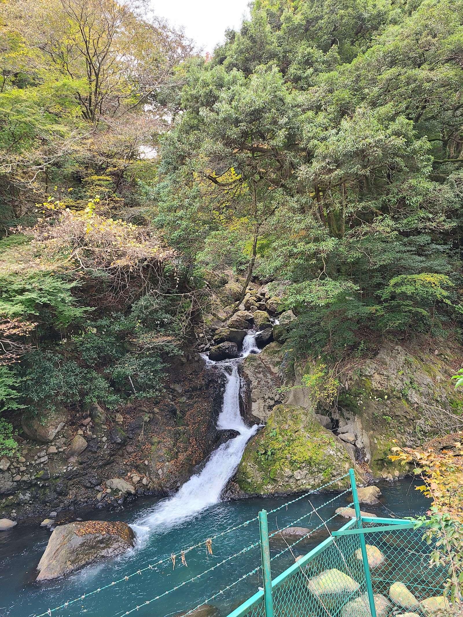 堂ヶ島渓谷 渓谷美の遊歩道 の写真 3