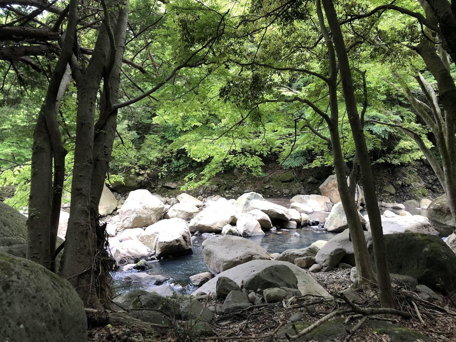 堂ヶ島渓谷 渓谷美の遊歩道 の写真 2