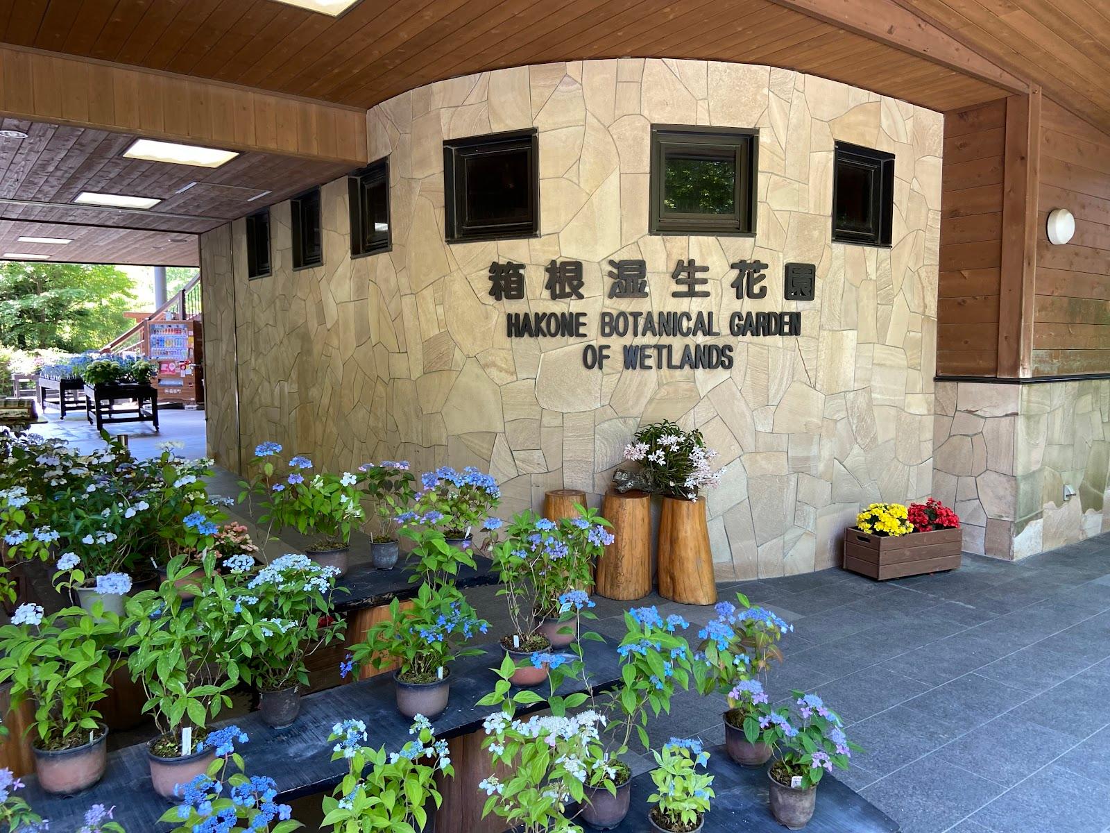 箱根湿生花園 入口