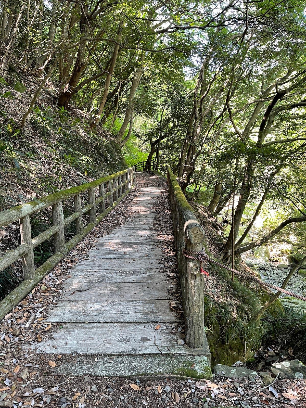 須雲川 丸木橋