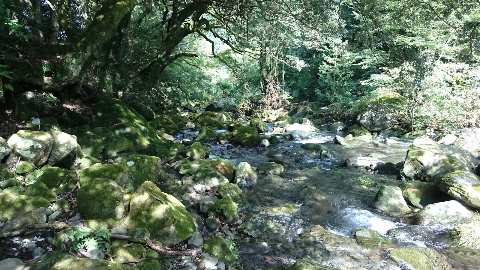 須雲川 清流ビューポイント