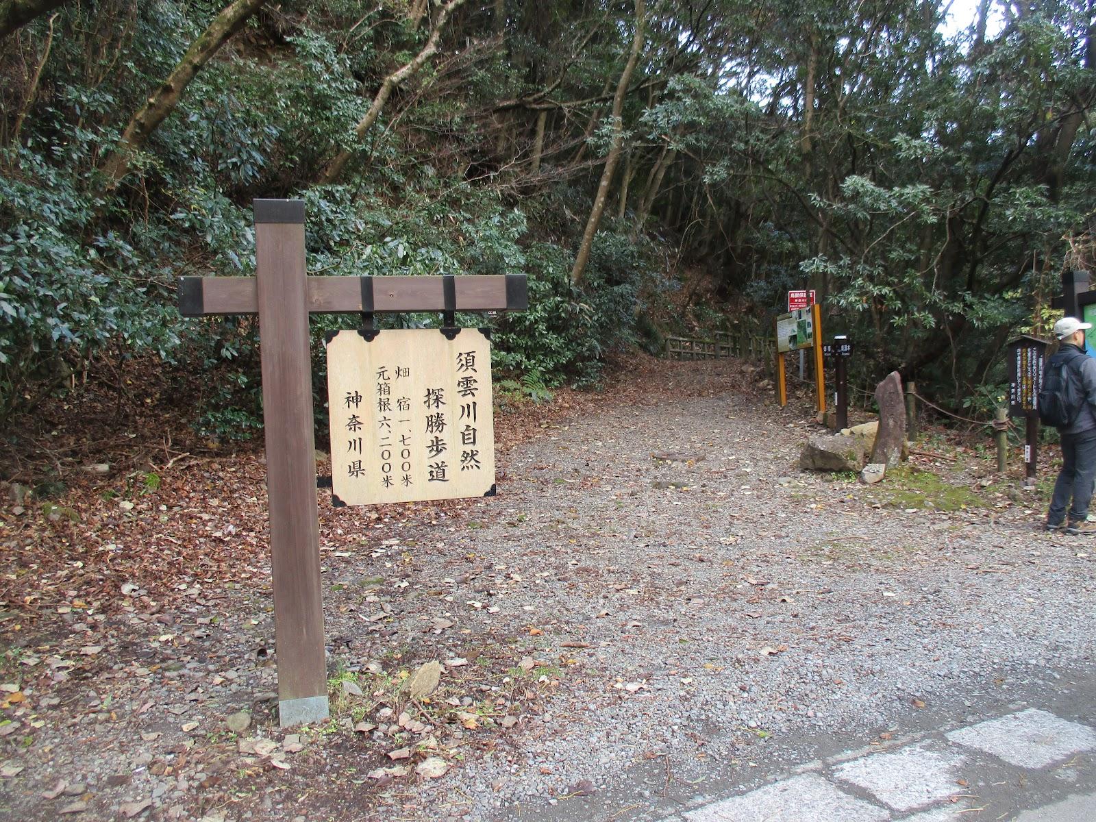 須雲川 石畳の自然探勝歩道 の写真 5