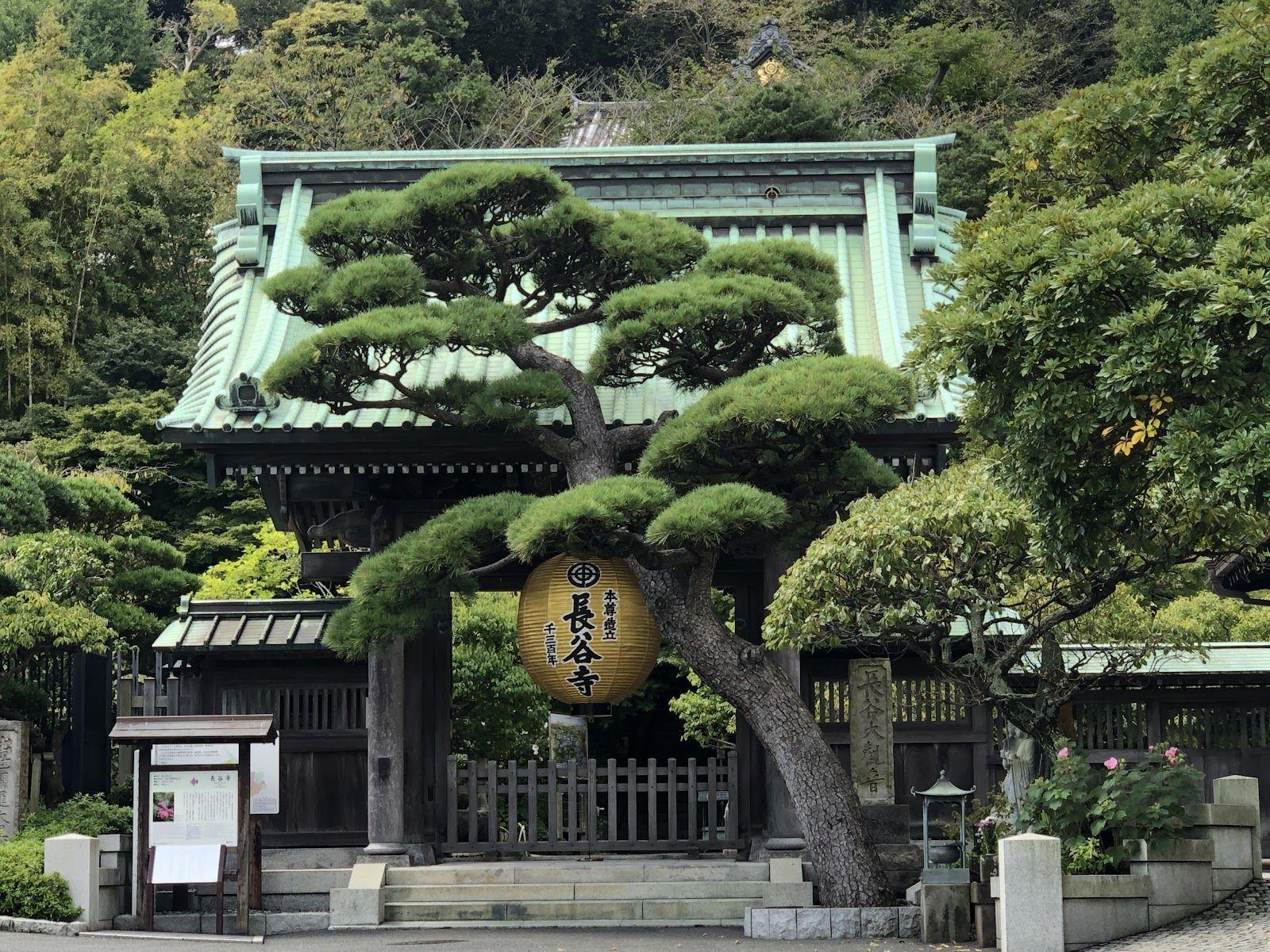 長谷寺 門前
