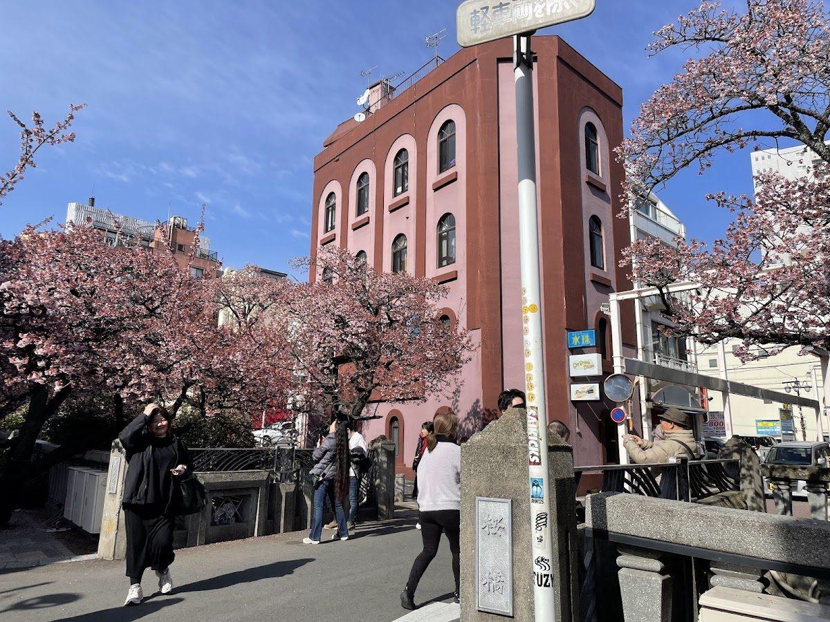 糸川遊歩道 あたみ桜並木