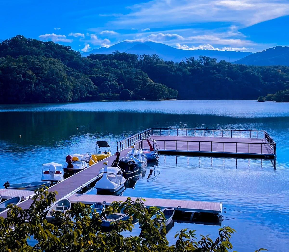 一碧湖 伊豆の瞳を巡る湖畔散歩 の写真 3