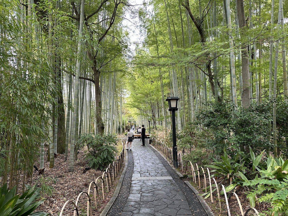 修善寺温泉 竹林の小径と五つの橋めぐり の写真 2