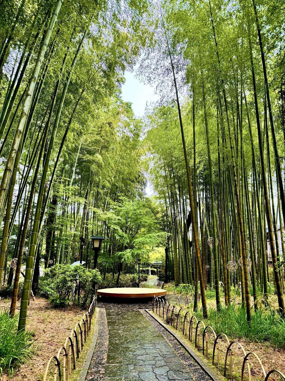 修善寺温泉 竹林の小径と五つの橋めぐり の写真 3