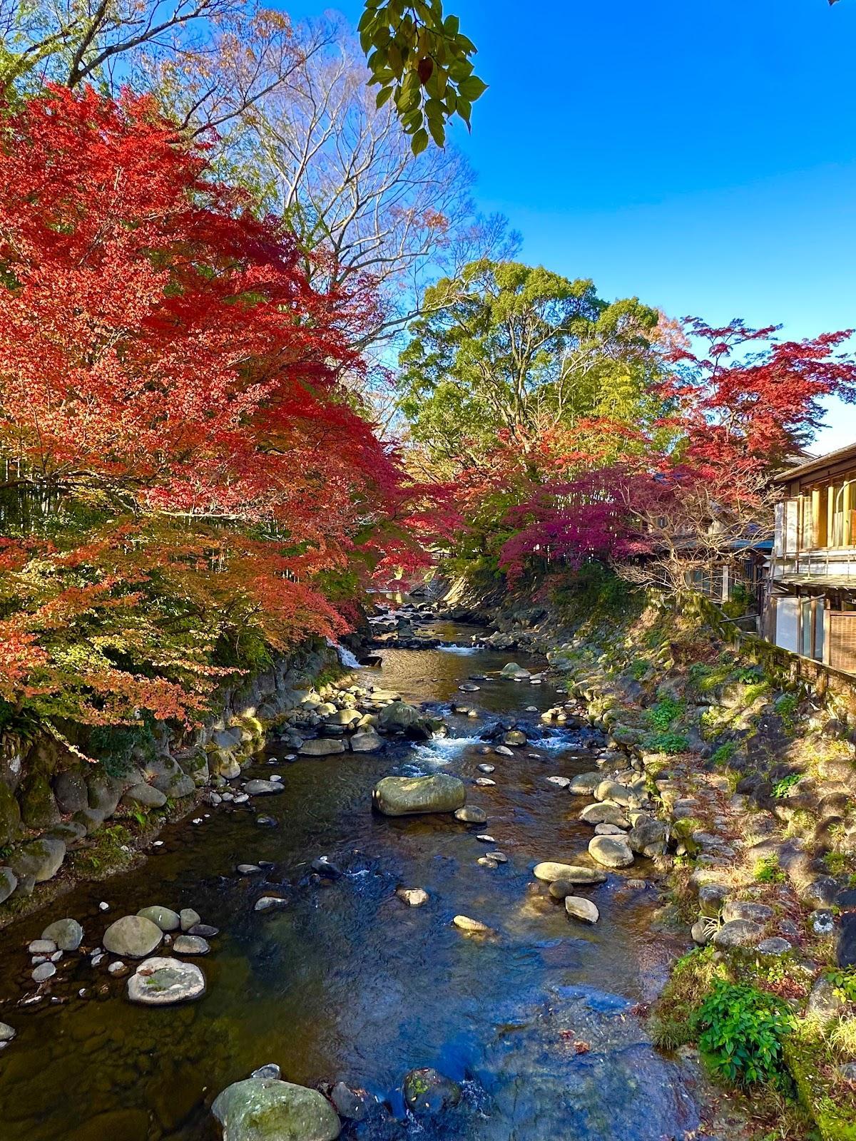 修善寺温泉 竹林の小径と五つの橋めぐり の写真 4