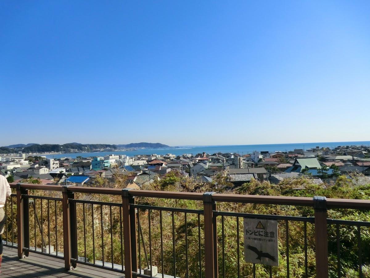 長谷寺・大仏コース