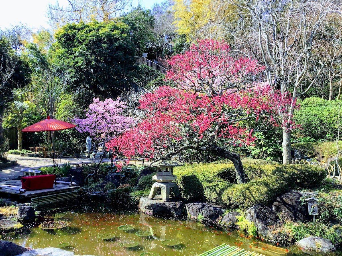 長谷寺 門前