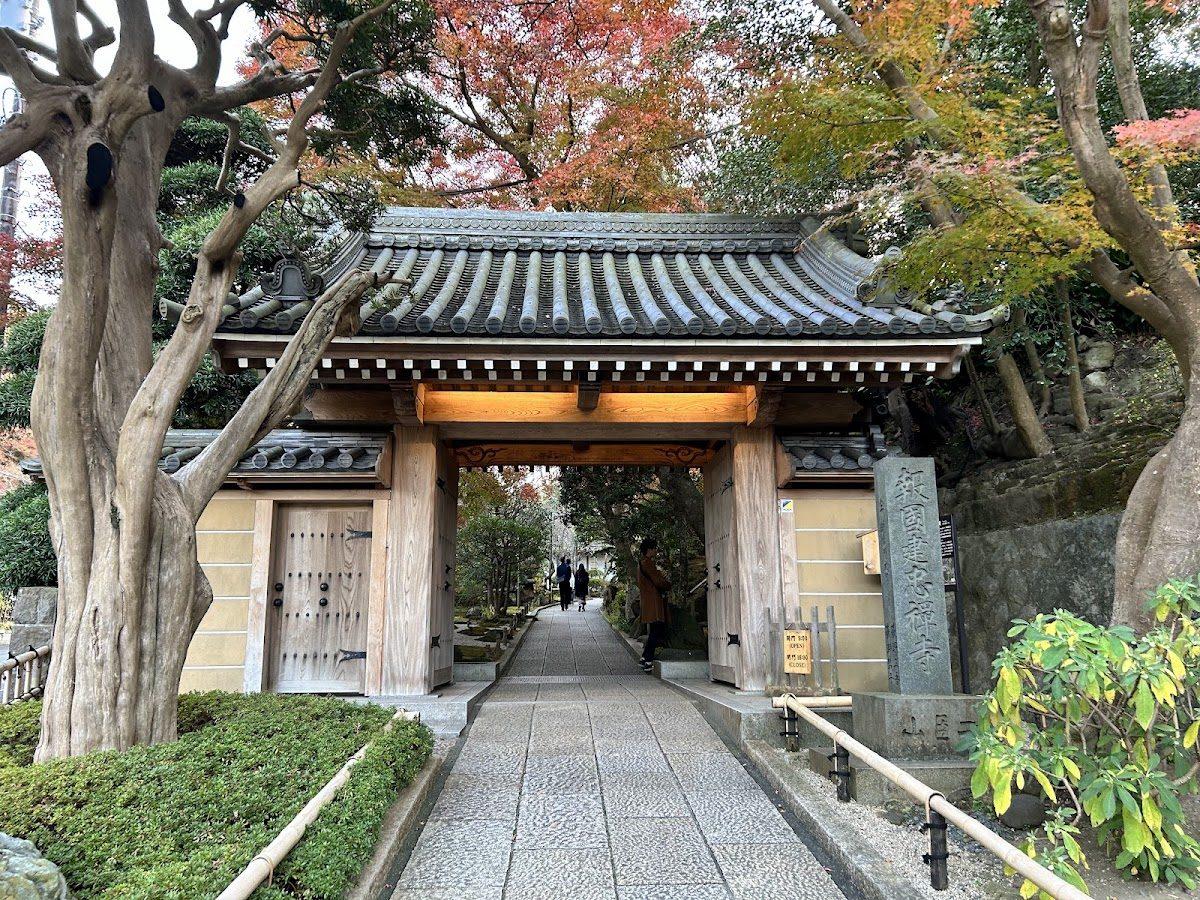 報国寺 竹の庭と杉本寺 鎌倉古寺散歩