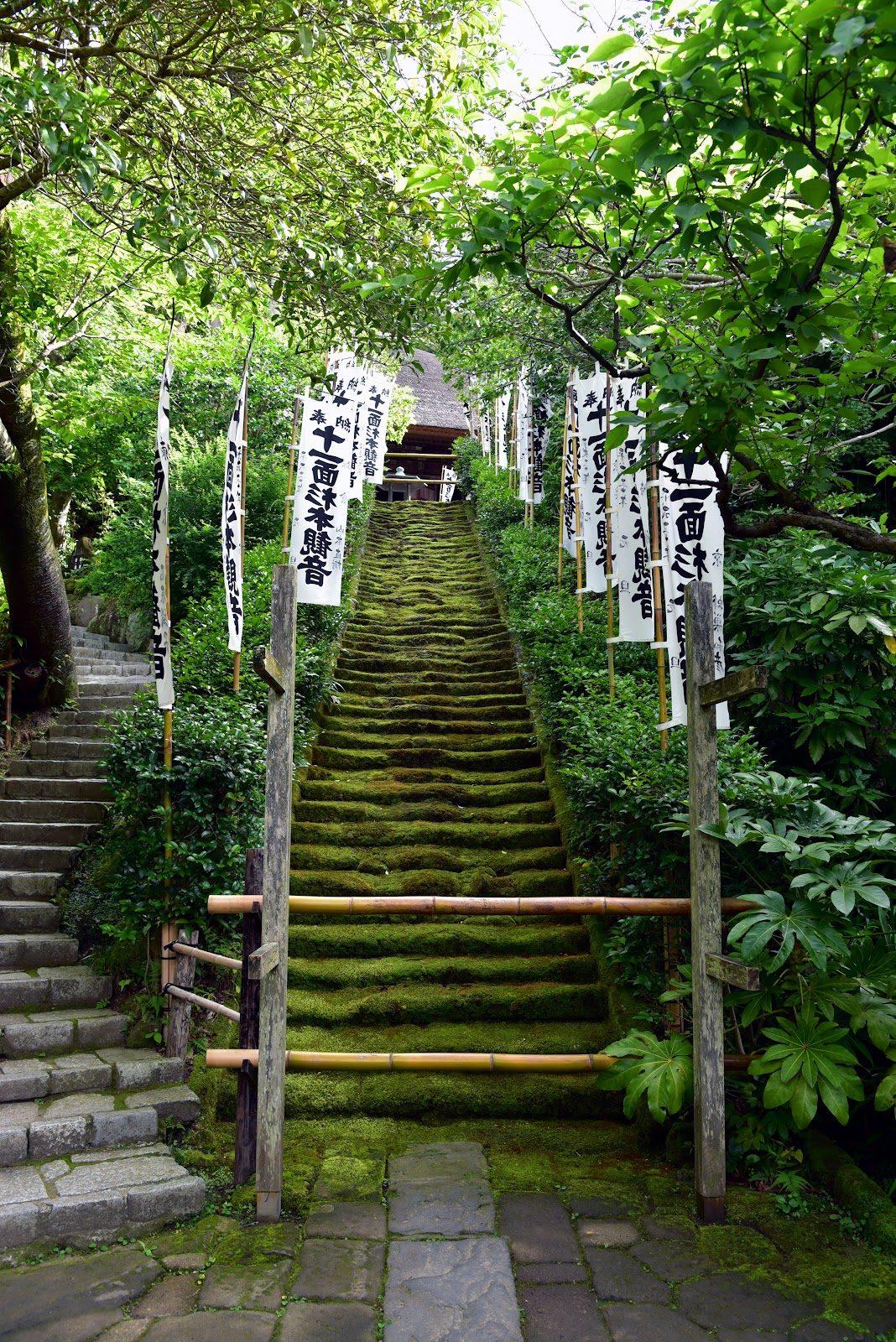 報国寺 竹の庭と杉本寺 鎌倉古寺散歩 の写真 4