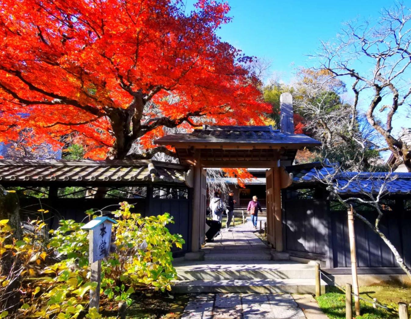 東慶寺 門前
